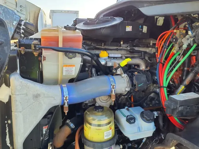 2019 FREIGHTLINER/MERCEDES CASCADIA 113