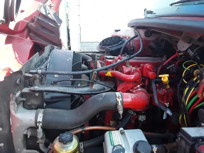 2019 FREIGHTLINER/MERCEDES M2 1068f2942cdbbd5731cf819ac501e671de6