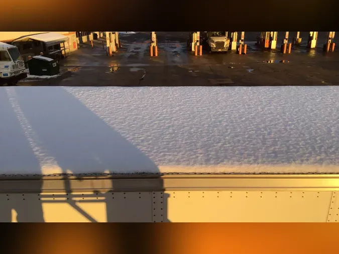 2014 Great Dane 8fc43d05c4d3cfba40b350b03a0a85af