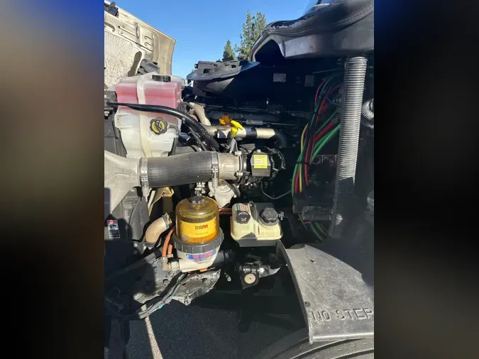 2017 FREIGHTLINER/MERCEDES CASCADIA 113