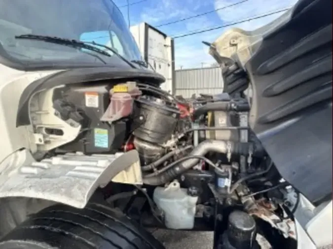 2019 FREIGHTLINER/MERCEDES M2 106923fdc604dc898a567f2f04b39e1da6c