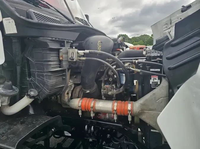 2019 FREIGHTLINER/MERCEDES CASCADIA 113