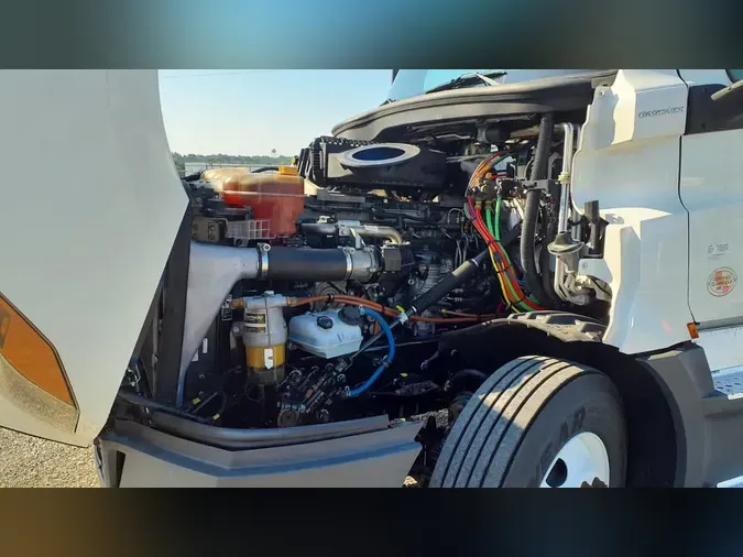2019 FREIGHTLINER/MERCEDES PT126064ST