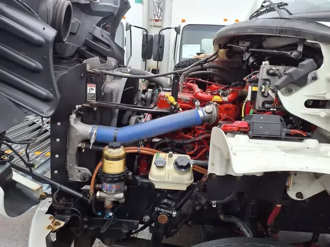 2019 FREIGHTLINER/MERCEDES M2 106