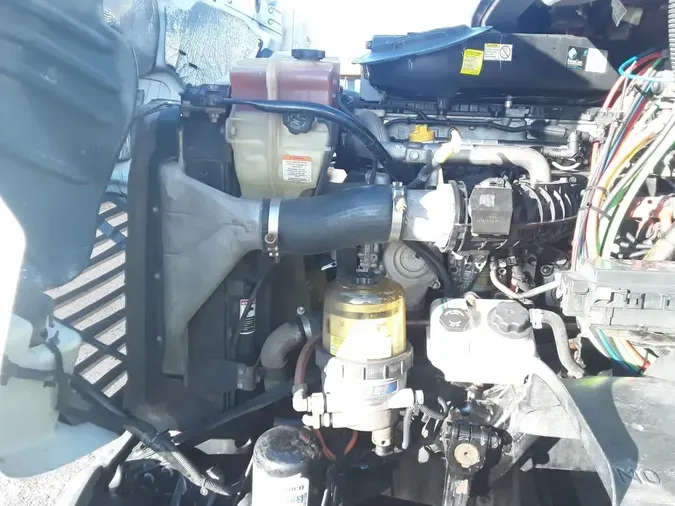 2019 FREIGHTLINER/MERCEDES CASCADIA 113