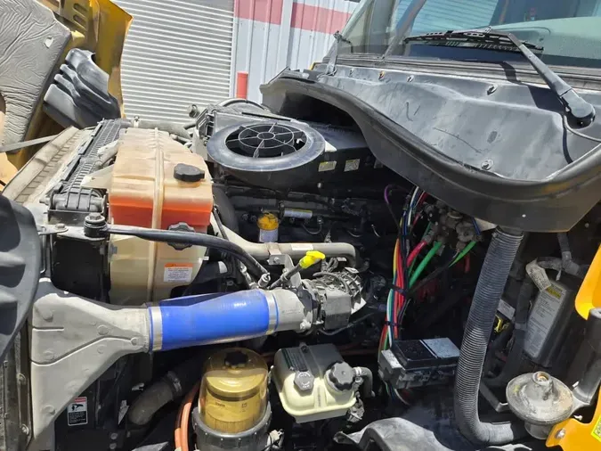 2019 FREIGHTLINER CASCADIA 113
