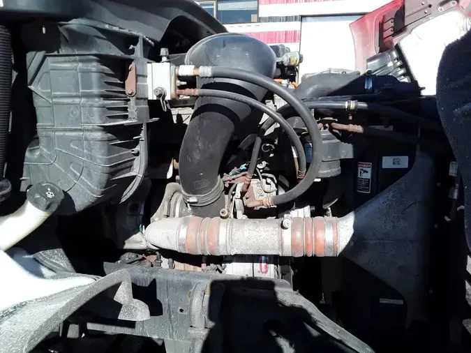 2019 FREIGHTLINER/MERCEDES CASCADIA 113