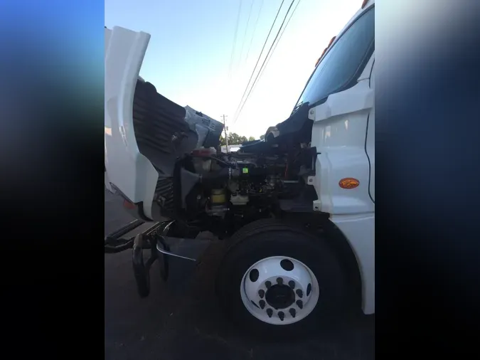 2019 FREIGHTLINER/MERCEDES CASCADIA 125