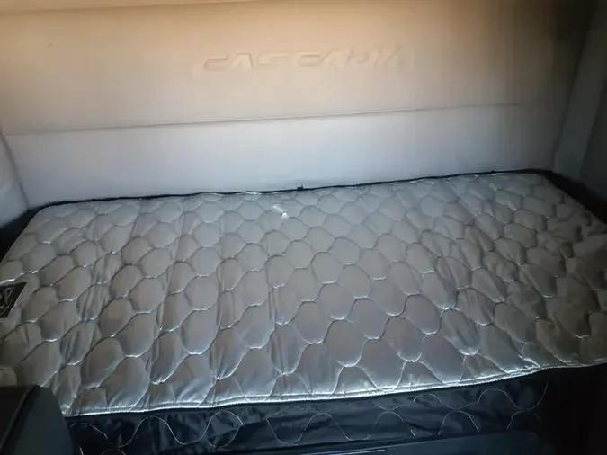 2020 FREIGHTLINER/MERCEDES NEW CASCADIA PX12664