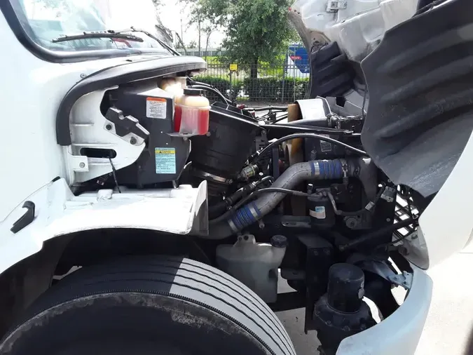 2019 FREIGHTLINER/MERCEDES M2 106