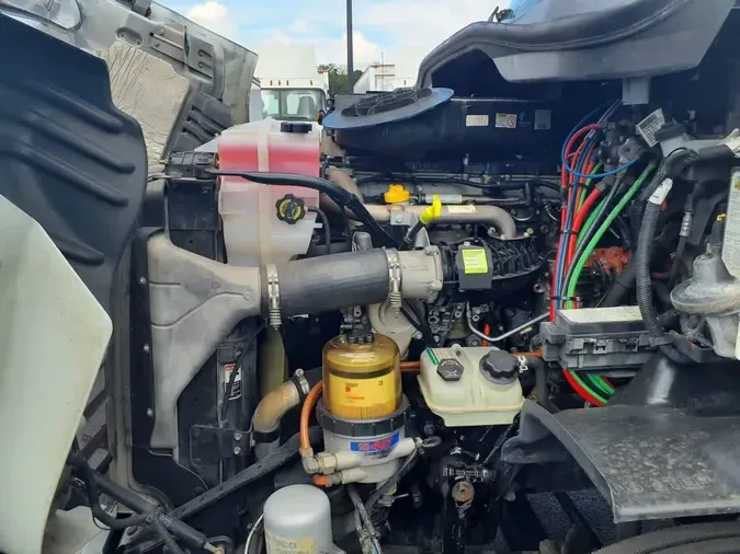 2019 FREIGHTLINER/MERCEDES CASCADIA 113