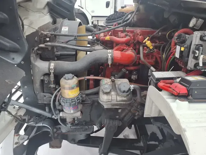 2019 FREIGHTLINER/MERCEDES M2 106a09ee515f2a829bbe9c5de1318022f1f