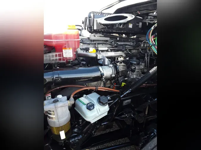 2019 FREIGHTLINER PT126064ST