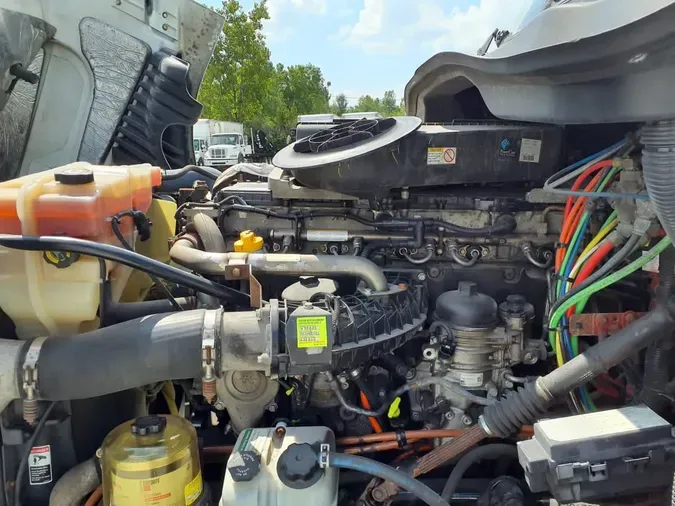 2019 FREIGHTLINER CASCADIA 125