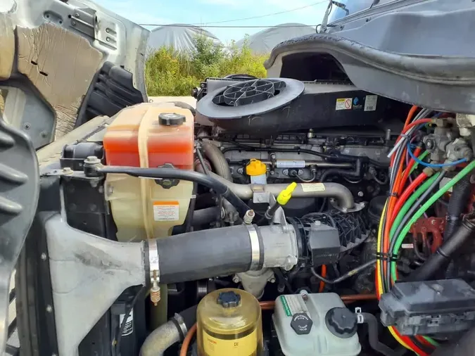 2019 FREIGHTLINER/MERCEDES CASCADIA 113