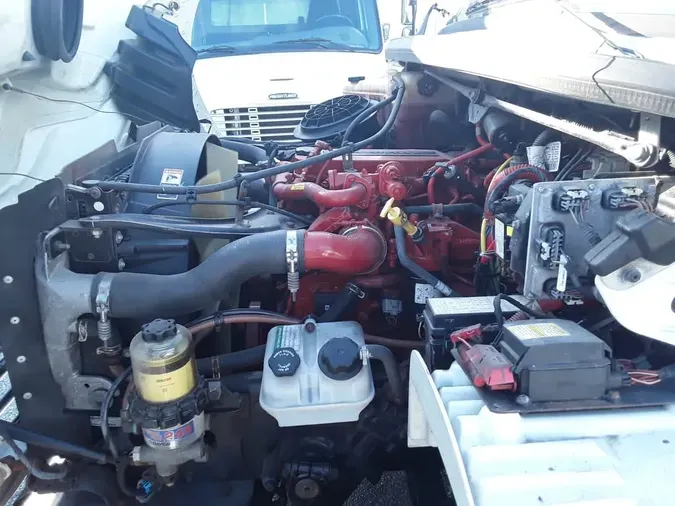 2019 FREIGHTLINER/MERCEDES M2 106a8de7b22adc0a014ee53bd1a22827573