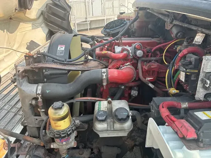 2019 FREIGHTLINER/MERCEDES M2 106