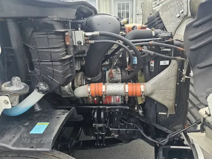 2019 FREIGHTLINER CASCADIA 113