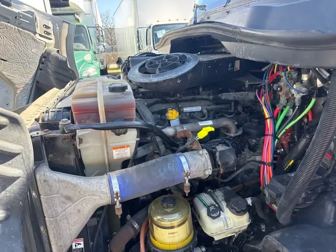 2019 FREIGHTLINER/MERCEDES CASCADIA 113