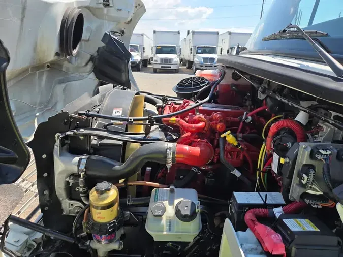 2019 FREIGHTLINER/MERCEDES M2 106