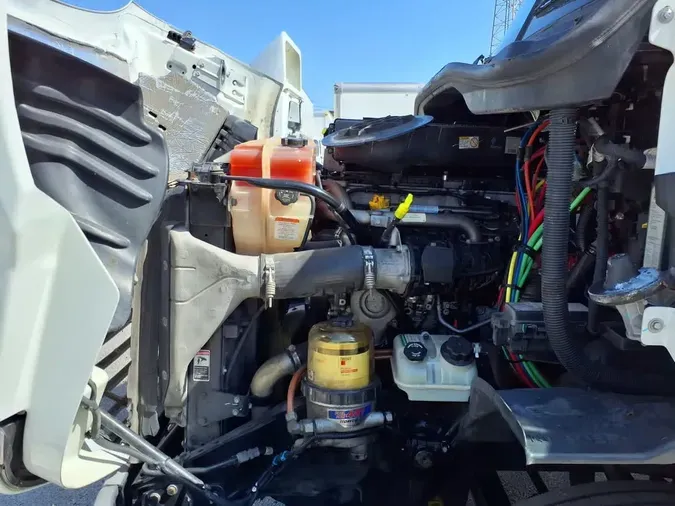 2019 FREIGHTLINER CASCADIA 113
