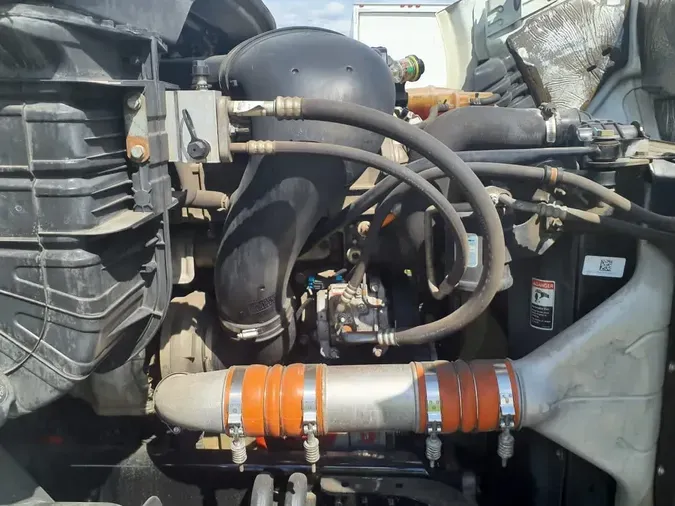 2019 FREIGHTLINER/MERCEDES CASCADIA 113