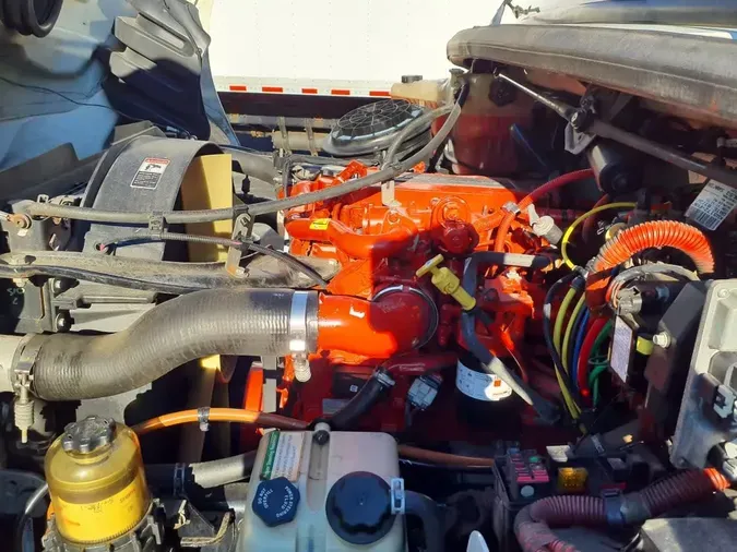 2019 FREIGHTLINER/MERCEDES M2 106ad7f8bd24c68e5c4d4d03c107bbf19cf