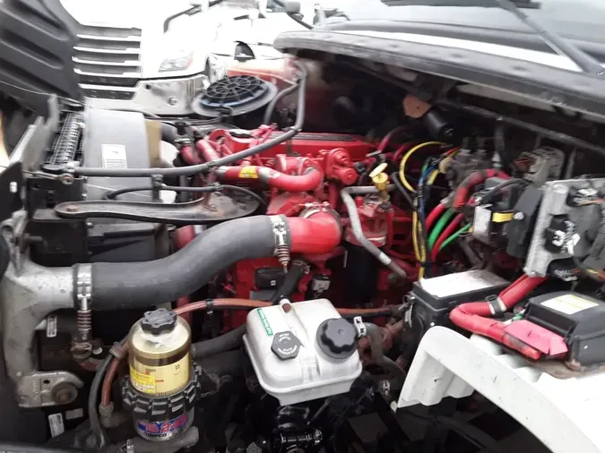 2019 FREIGHTLINER/MERCEDES M2 106ad8ff507c86c0a0447bfa30f831066f7