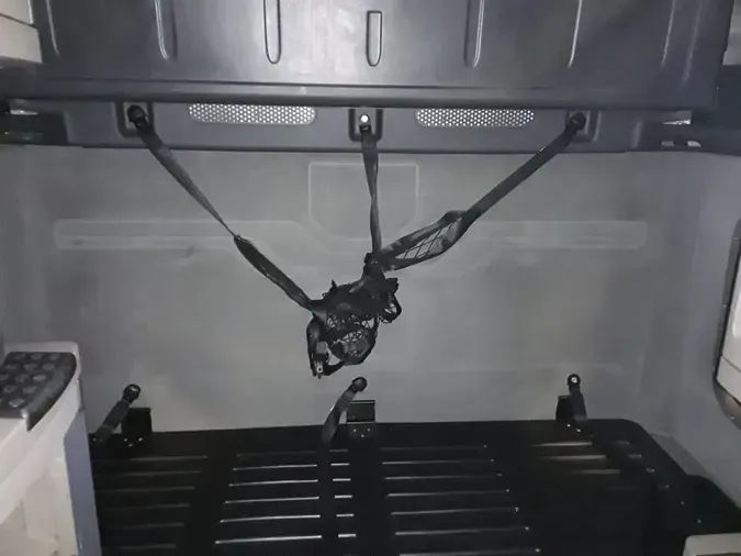 2019 FREIGHTLINER/MERCEDES CASCADIA 125