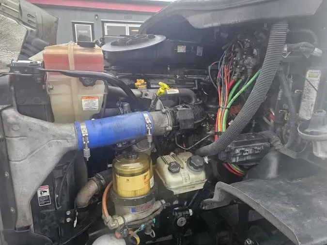 2019 FREIGHTLINER/MERCEDES CASCADIA 113