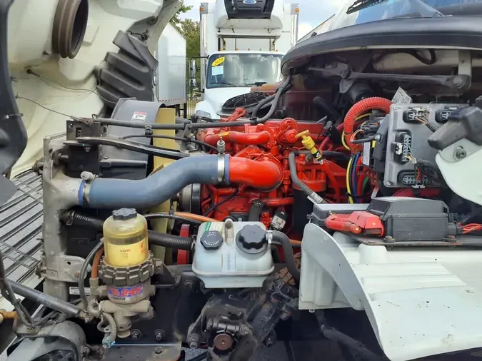 2019 FREIGHTLINER/MERCEDES M2 106ae718b0a2419ce9cba7cae33f615b0b5