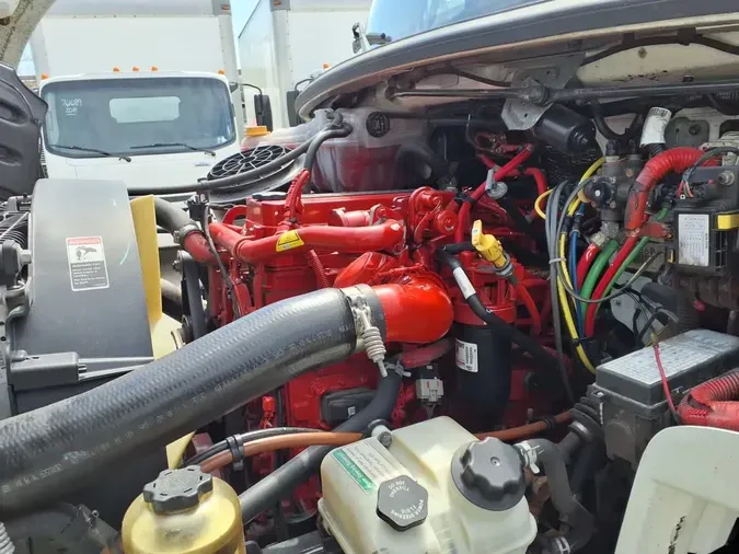 2019 FREIGHTLINER/MERCEDES M2 106