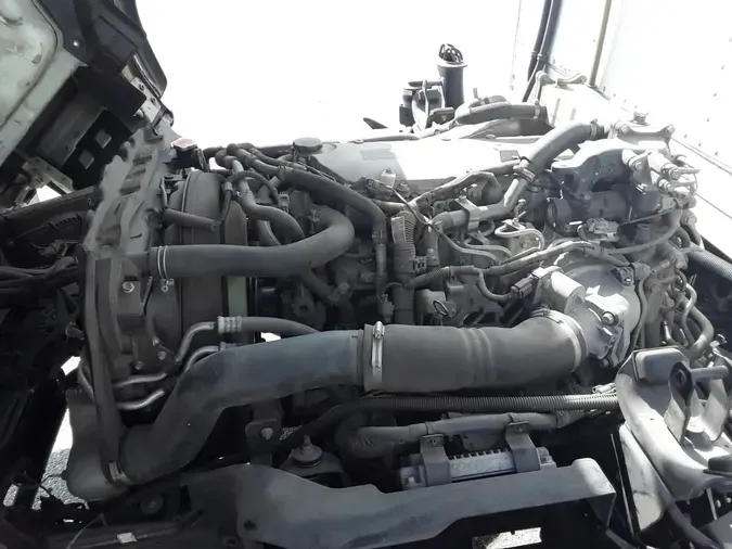 2019 ISUZU NQRb080e4754985c3a157004f6f7b5a55db