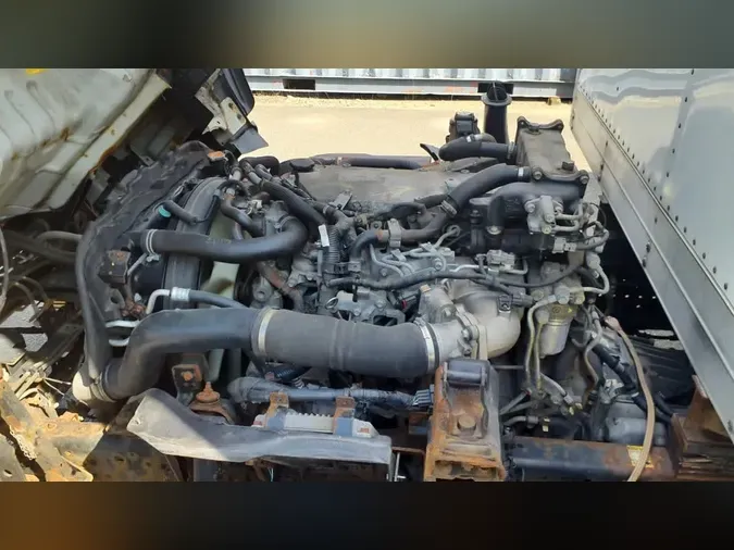 2019 ISUZU NPR HDb36eaba2bb7870db5c7cfc6e12c9559e