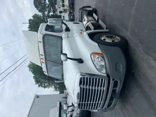 2019 FREIGHTLINER/MERCEDES CASCADIA 125