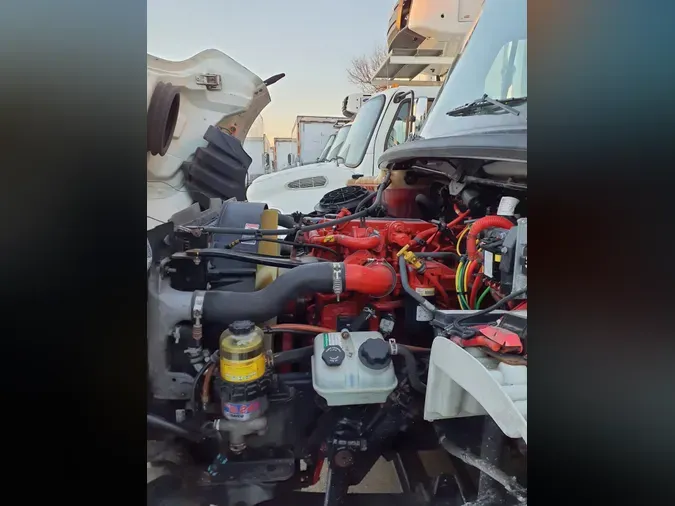 2019 FREIGHTLINER/MERCEDES M2 106