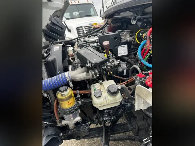 2019 FREIGHTLINER/MERCEDES M2 106