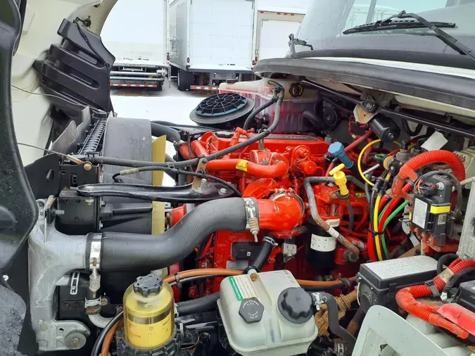 2019 FREIGHTLINER/MERCEDES M2 106