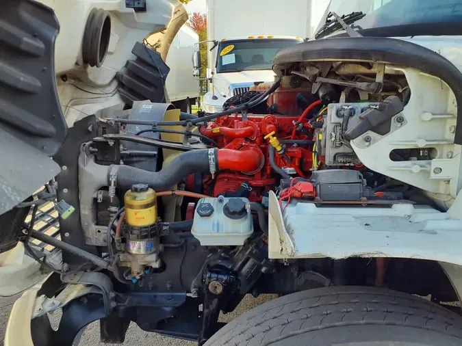 2019 FREIGHTLINER/MERCEDES M2 106b917e427b7dd487f4fda87c54e13a37d