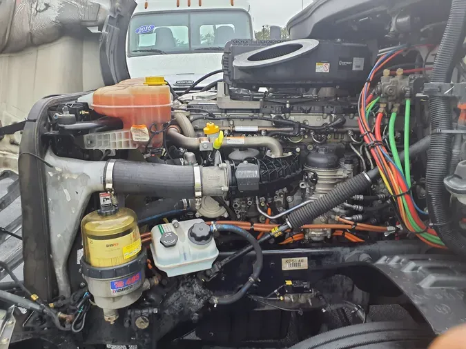 2019 FREIGHTLINER/MERCEDES NEW CASCADIA 126