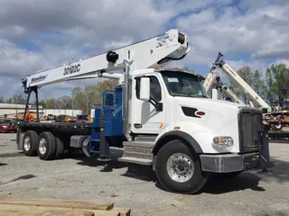 MANITEX 30102C
