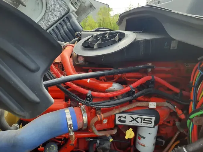 2019 FREIGHTLINER/MERCEDES CASCADIA 125bbc542c8ff8e2e0e24e488839798964d