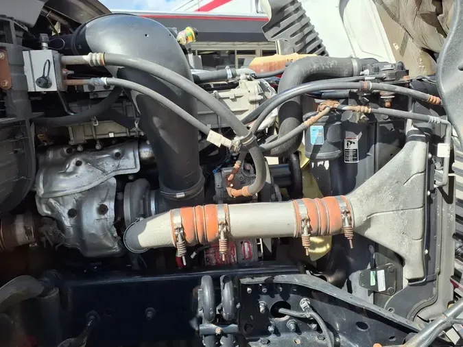 2019 FREIGHTLINER/MERCEDES CASCADIA 125bc36e15553700d629a82fbbf9948551c