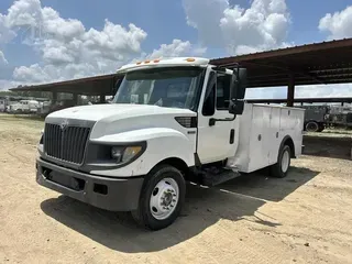 2013 INTERNATIONAL TERRASTAR