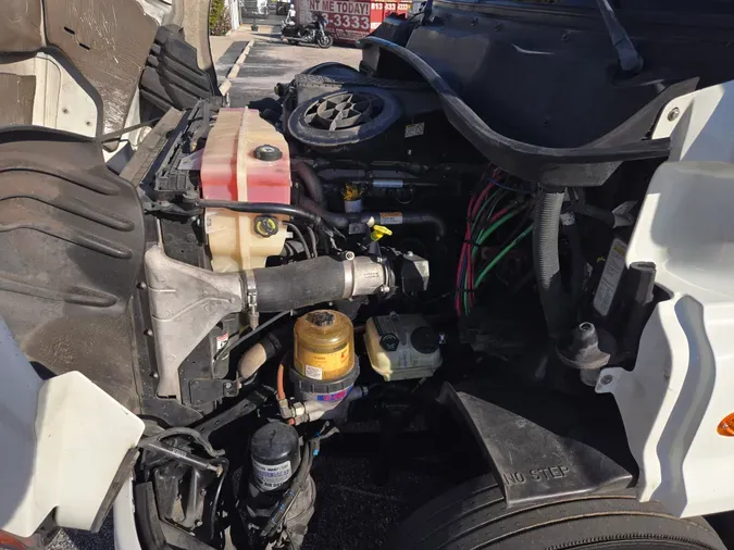 2019 FREIGHTLINER/MERCEDES CASCADIA 113