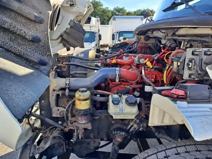 2019 FREIGHTLINER/MERCEDES M2 106be257f8f6cc5d1fcea926d98ca7c746d