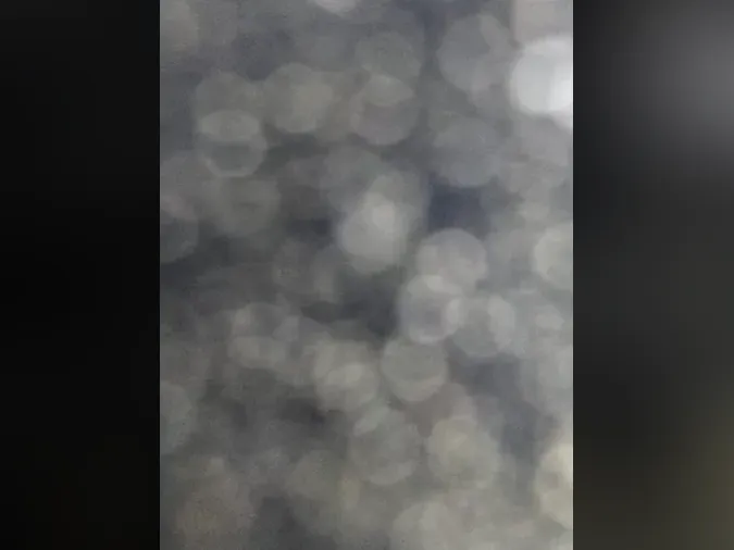 2019 FREIGHTLINER/MERCEDES M2 106