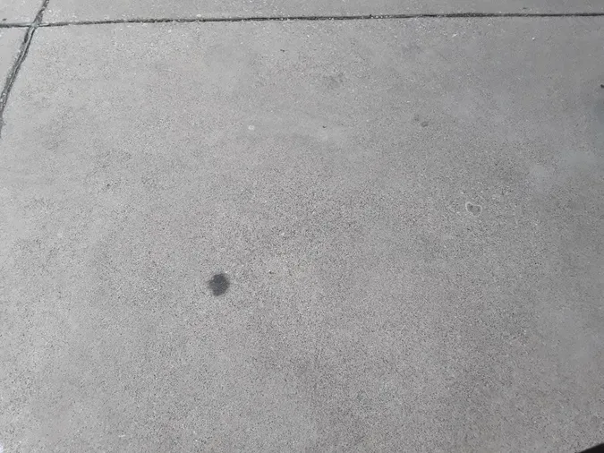 2019 NAVISTAR INTERNATIONAL 4300