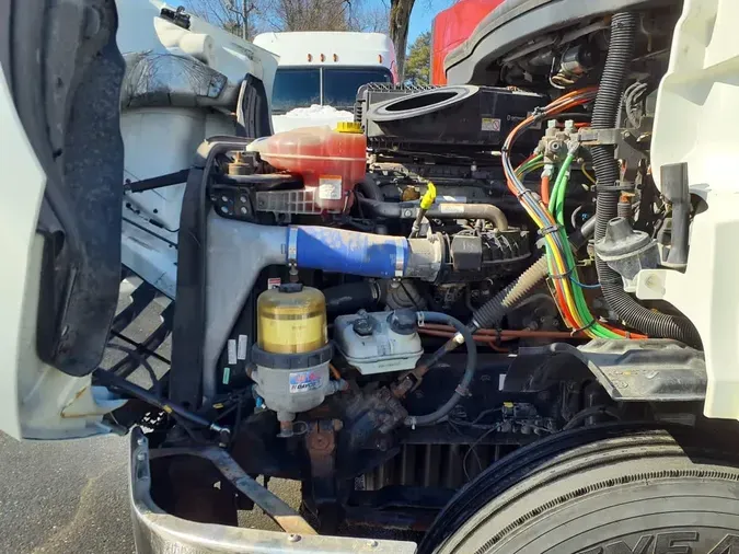 2019 FREIGHTLINER/MERCEDES NEW CASCADIA 116