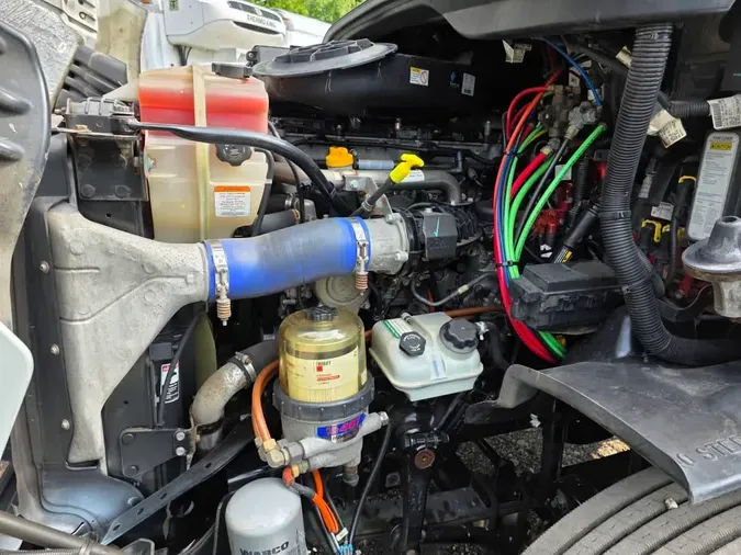 2019 FREIGHTLINER CASCADIA 113